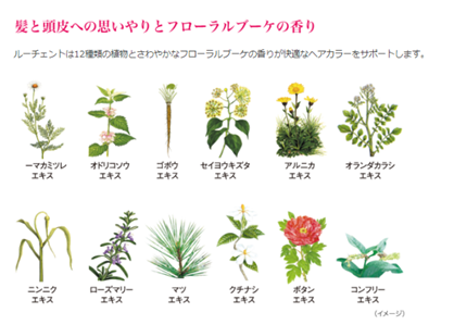 訪問美容で使うこだわりの薬剤やシャンプーのご紹介 訪問美容 出張カットhinata ひなた